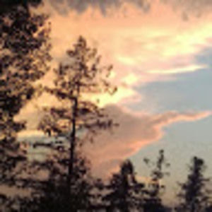 Meet your Posher, Bonita